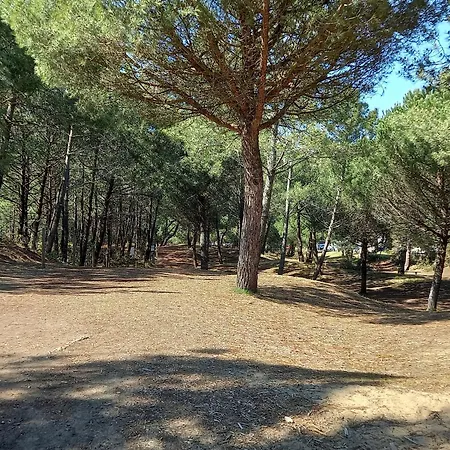 Renove, Lumineux Proche Avec Parking - Fr-1-306-1299