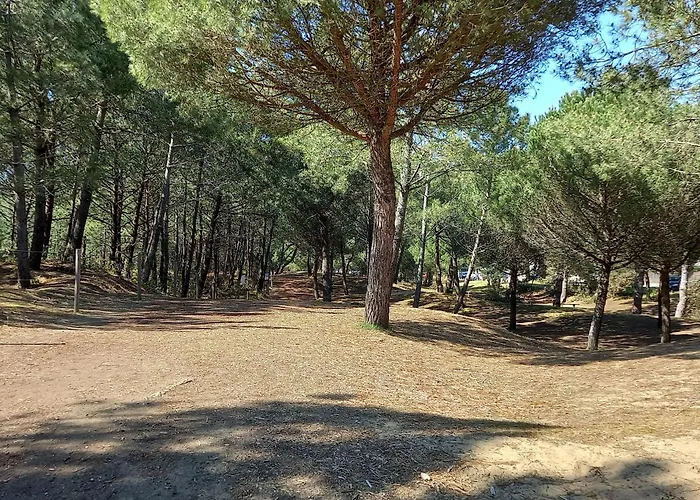 Renove, Lumineux Proche Avec Parking - Fr-1-306-1299